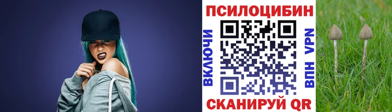 Псилоцибиновые грибы Psilocybine cubensis  Купить  Кимры 
